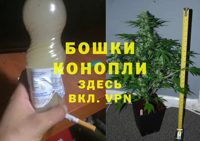 даркнет какой сайт  Тара  Шишки марихуана THC 21%  где продают  